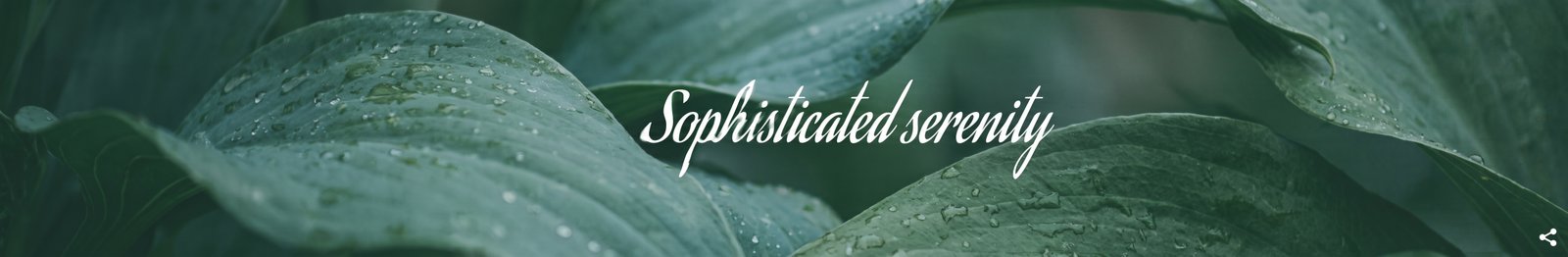 Sophisticated serenity